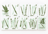 Hallmark x Miss Mahjong - Miss Heirloom Mahjong Bundle