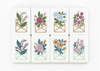Hallmark x Miss Mahjong - Miss Heirloom Mahjong Bundle