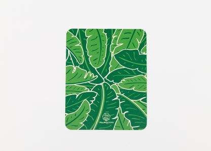 Tropic Like It's Hot Shuffler Set